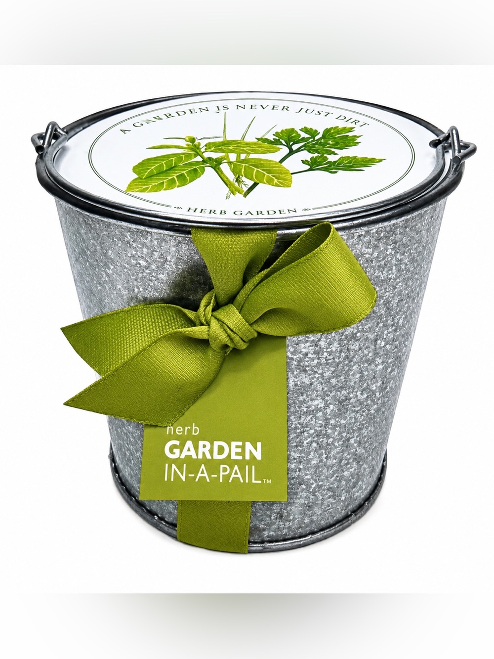 Herb Garden in a Pail by Potting Shed